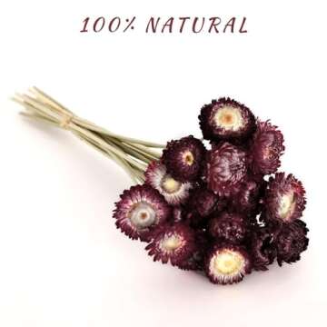 MIHUAGE Dried Flower 40PCS Daisy Bouquet 100% Natural Chrysanthemum Dry Flower with Stem for Vase Home décor Party DIY Arrangement Wheat Straw Bulk (Burgundy)