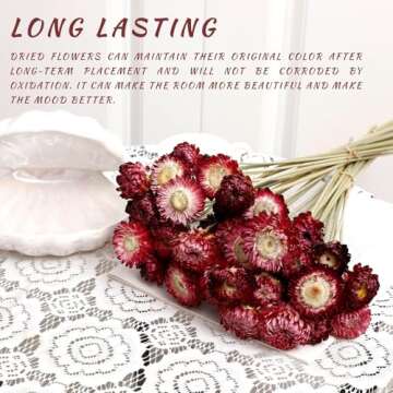 MIHUAGE Dried Flower 40PCS Daisy Bouquet 100% Natural Chrysanthemum Dry Flower with Stem for Vase Home décor Party DIY Arrangement Wheat Straw Bulk (Burgundy)