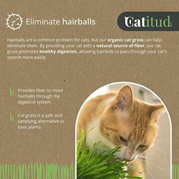 CATITUD Cat Grass Growing Kit with 5 Packets HYDROPONIC Seeds | Cat Grass Kit Includes Pot with Non-Slip Base | Cat Grass for Indoor Cats with Planter, Best Gift for Cats