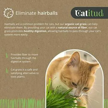 CATITUD Cat Grass Growing Kit with 5 Packets HYDROPONIC Seeds | Cat Grass Kit Includes Pot with Non-Slip Base | Cat Grass for Indoor Cats with Planter, Best Gift for Cats