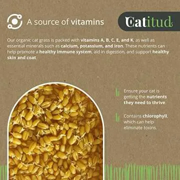 CATITUD Cat Grass Growing Kit with 5 Packets HYDROPONIC Seeds | Cat Grass Kit Includes Pot with Non-Slip Base | Cat Grass for Indoor Cats with Planter, Best Gift for Cats