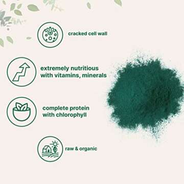 Micro Ingredients Organic Chlorella Powder, 10 Ounce, Broken Cell Wall, Rich in Vegan Proteins & Vitamins, Raw, Bulk Premium Chlorella Supplement, Vegan Friendly, Non-Irradiation