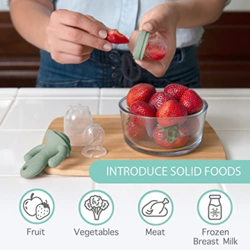 Little Twig Baby Feeder Teether | BPA-Free Silicone Freezer Tray