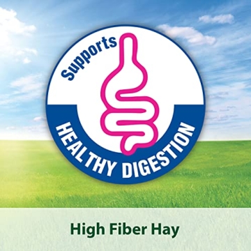 Kaytee Timothy Hay Blend Cubes for Happy and Healthy Pets