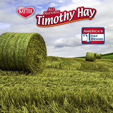 Kaytee Timothy Hay Blend Cubes for Happy and Healthy Pets
