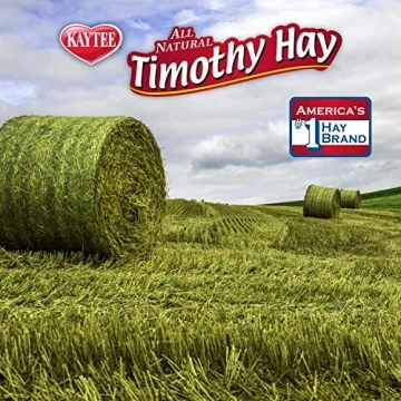 Kaytee Timothy Hay Blend Cubes for Happy and Healthy Pets