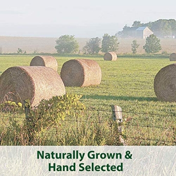 Kaytee Timothy Hay Blend Cubes for Happy and Healthy Pets