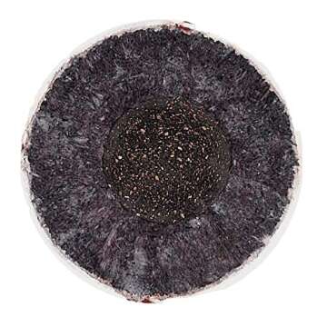 Rawlings | USSSA Baseballs | Competition Grade | ROLB1USSSA | Youth/14U | 12 Count