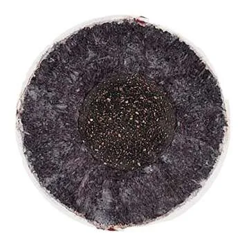 Rawlings | USSSA Baseballs | Competition Grade | ROLB1USSSA | Youth/14U | 12 Count