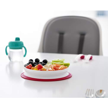 OXO Tot Suction Divided Plate - Perfect for Toddlers!