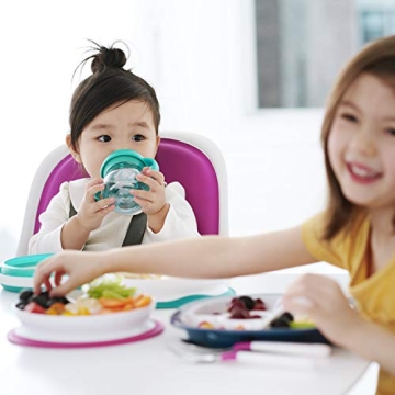 OXO Tot Suction Divided Plate - Perfect for Toddlers!