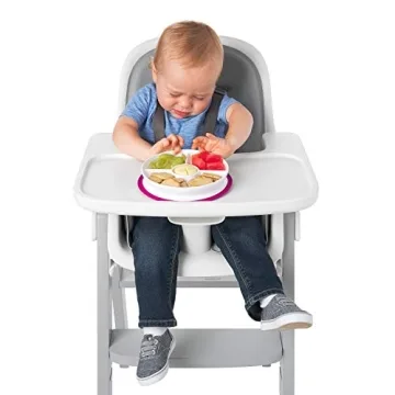 OXO Tot Suction Divided Plate - Perfect for Toddlers!