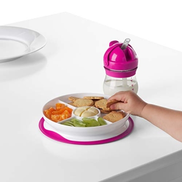 OXO Tot Suction Divided Plate - Perfect for Toddlers!