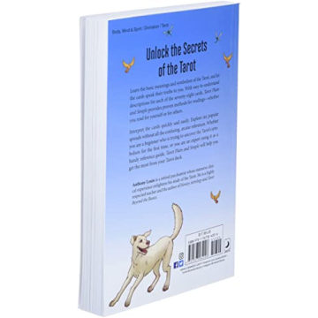 Discover Tarot's Power with Tarot Plain and Simple Book