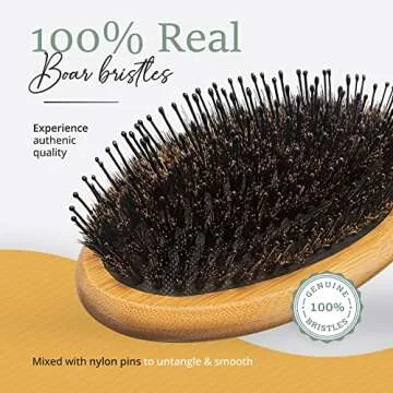 Premium Boar Bristle Hair Brush Set for Thick Hair