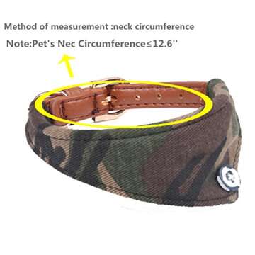 Fourhorse Dog Collar and Leash Set for Small Dogs & Cats