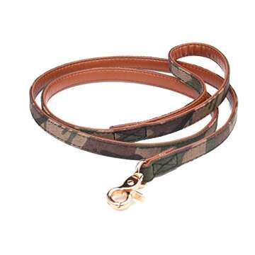 Fourhorse Dog Collar and Leash Set for Small Dogs & Cats