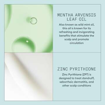 Nioxin Scalp Recovery Purifying Shampoo - Shampoo for Dandruff and Itchy Scalp, 33.8 fl oz (Packaging May Vary)