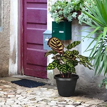 Durable 15 Gallon Plant Nursery Pots for Gardeners