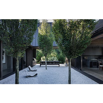 Living by the Sea Coastal Decor for Beach Lovers