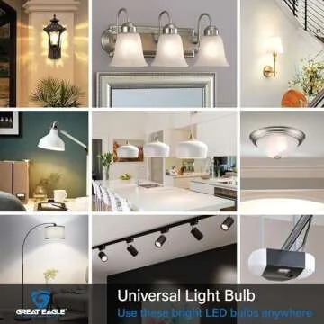 Great Eagle A19 LED Bulbs - Energy Efficient 5000K Brightness