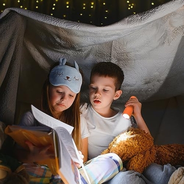 EverBrite 9-LED Flashlight 6-Pack Compact Handheld Torch Assorted Colors with Lanyard 3AAA Battery Included (Hurricane Supplies, Camping), Gift to Halloween, Christmas