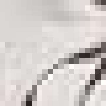 Trendy ZESICA Women's Half Zip Sweatshirt for Cozy Style