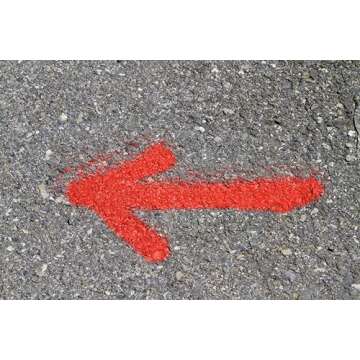 Rust-Oleum 266590 Professional 2X Distance Inverted Marking Spray Paint, 15 oz, Fluorescent Red-Orange