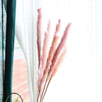 MLSG 60 Stems 22 Inch Natural Dry Flowers Small Pampas Grass, Phragmites Communis, Dried Flowers Bouquet for Wedding Floral Arrangements Home Decorations (Pink)