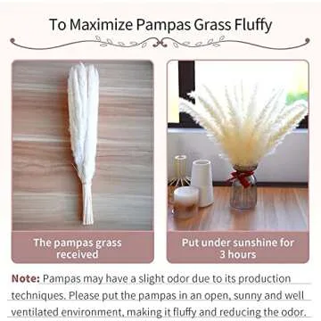 MLSG 60 Stems 22 Inch Natural Dry Flowers Small Pampas Grass, Phragmites Communis, Dried Flowers Bouquet for Wedding Floral Arrangements Home Decorations (Pink)