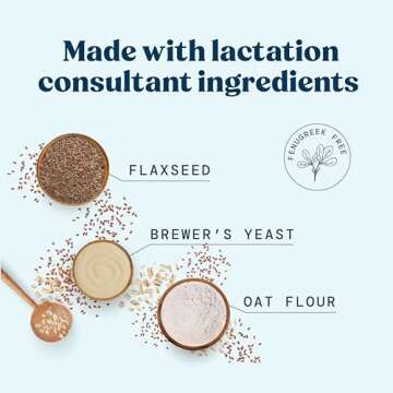 Mommy Knows Best Lactation Cookies Mix - Oatmeal Breastfeeding Cookie Supplement Support for Breast ...