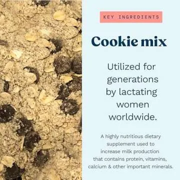 Lactation Cookie Mix for Nursing Moms - Chocolate Chip