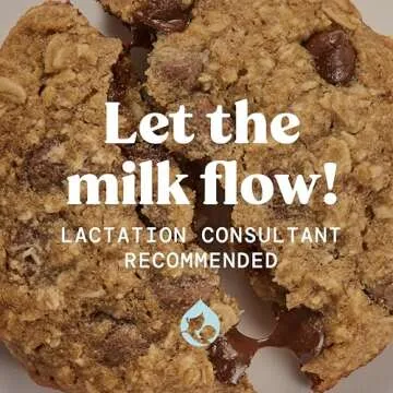 Lactation Cookie Mix for Nursing Moms - Chocolate Chip