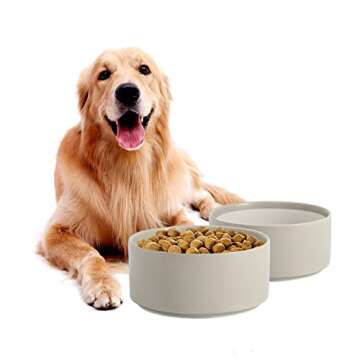 Havniva Non-Slip Ceramics Dog Food Bowl Dog Water Bowl Dog Dish for Large Dog Protect Cervical Spine (8in Single Bowl, Grey)