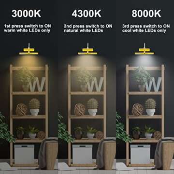 BIGLIGHT Wireless Battery Operated LED Picture Light with Remote, Rotatable Light Heads of 3 Lighting Modes, Dimmable Display Lamp with Timer for Painting Photo Portrait Art, 8.8", Gold