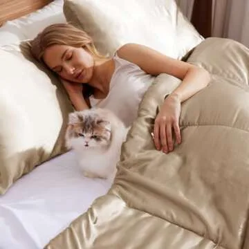 Whale Flotilla 3-Piece Reversible Silky Soft Queen Comforter Bedding Set, Luxurious Satin Comforters Full Size with 2 Satin Pillowcases, Lightweight Duvet for All Seasons, Champagne