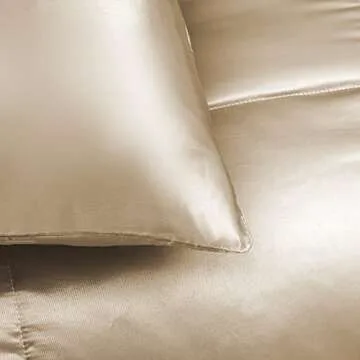 Whale Flotilla 3-Piece Reversible Silky Soft Queen Comforter Bedding Set, Luxurious Satin Comforters Full Size with 2 Satin Pillowcases, Lightweight Duvet for All Seasons, Champagne