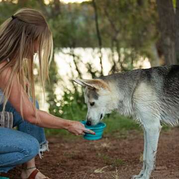 Messy Mutts Silicone Collapsible Bowl | Pet Travel Necessity | Portable Water or Food Dish | Pop Up Watering Bowl | Camping, Hiking, Walking Accessory | Large, 3 Cups | Green