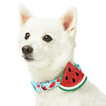 Blueberry Pet Summer Sparkle Dog Collar, Adjustable Large Size, Neck 18"-26", Zesty Fruit Watermelon...