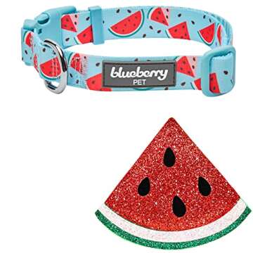Blueberry Pet Summer Sparkle Dog Collar, Adjustable Large Size, Neck 18"-26", Zesty Fruit Watermelon Blue, Pet Collar with Detachable Accessory