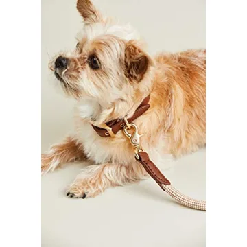 Eco-Friendly Harry Barker Dog Rope Leash for Larger Dogs