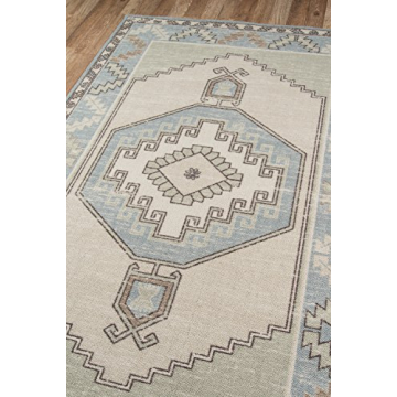 Momeni Anatolia Wool and Nylon Area Rug, 9'9" X 12'6", Light Blue