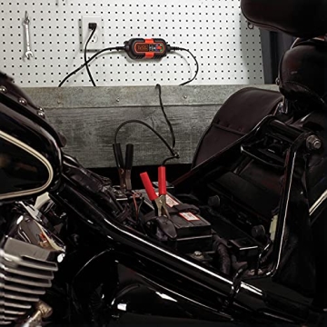 BLACK+DECKER BM3B Battery Charger for 6V and 12V Batteries