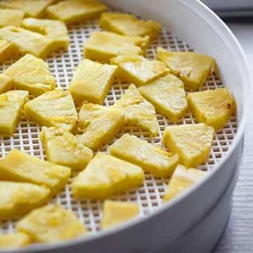 Blulu Silicone Dehydrator Sheets for Easy Cooking