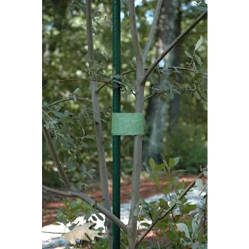 VELCRO Garden Ties for Trees and Plants | 18 ft, 2 inch Roll