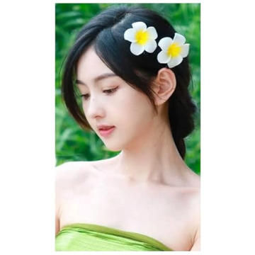 Vibrant Hawaiian Flower Clips for Women and Girls - 6pc Set