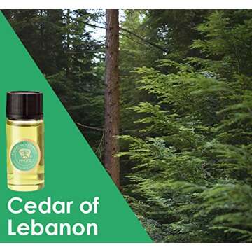 Anointing Oil from Israel - Set of 3 Anointing Oil from Jerusalem - Pomergranate, Cinnamon & Cedar of Lebanon Biblical Oils | Total Amount 1oz Anointing Oil Made in Israel by HalleluYAH