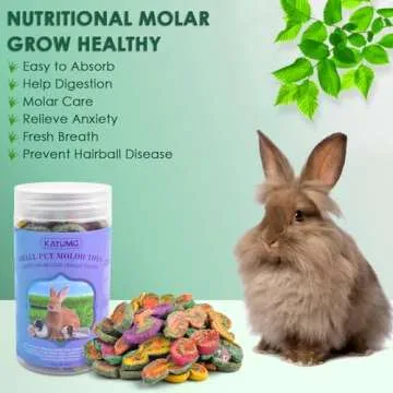 KATUMO Rabbit Chew Toys for Small Animals, Natural Treats