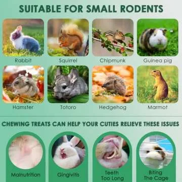 KATUMO Rabbit Chew Toys for Small Animals, Natural Treats