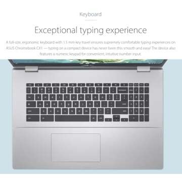 ASUS CX17 17.3" FHD Chromebook - Renewed Performance